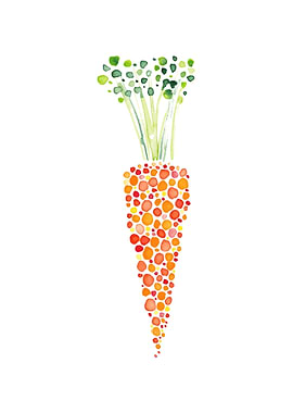 Watercolor Carrot Illustration