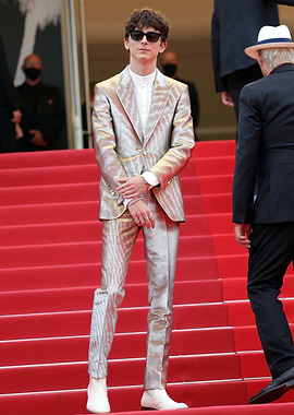 Timothée Chalamet on Red Carpet