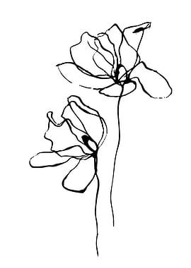 Minimalist Floral Line Art