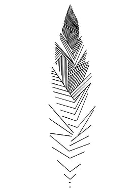 Abstract Feather Illustration