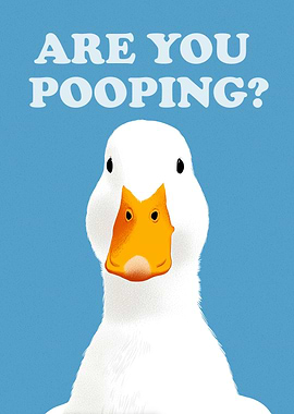 Funny Duck Asking 'Are You Pooping?'