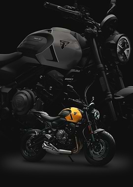 Triumph Trident 660 Motorcycle