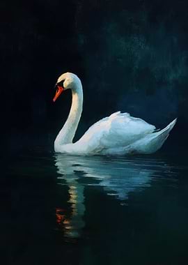 Elegant Swan on Dark Water