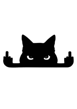 Black Cat Giving Middle Finger