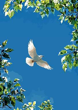 White Dove Flying in Blue Sky