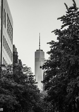 New York City One World Trade Center Through Trees