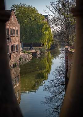 Sunny morning in York