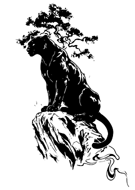 Black Panther on a Rock