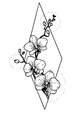 Orchid Branch in Geometric Frame