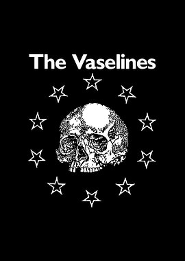 The Vaselines Skull and Stars
