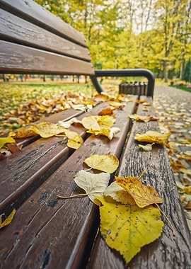 Autumn Bench Covered in Leaves
