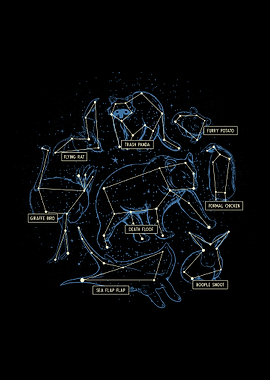 Animals Of The World Constellations