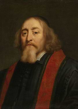 Portrait of a Bearded Man in Academic Robes