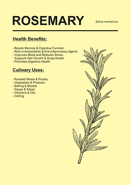 Rosemary Herb