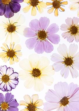 Pressed Flowers Collection