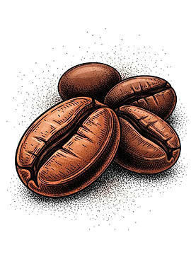 Illustration of Coffee Beans