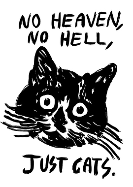 No Heaven, No Hell, Just Cats
