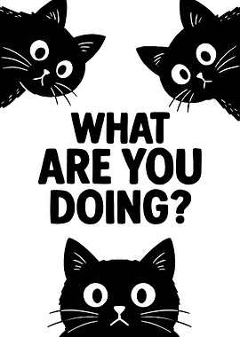 Funny Cats Asking What Are You Doing
