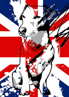 Jack Russell Terrier with Union Jack