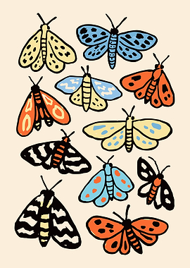 Collection of Colorful Moths