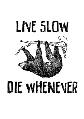 Sloth hanging with text