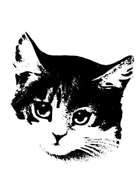 Black and White Cat Face