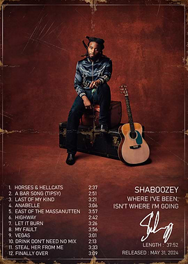 Shaboozey Album Cover