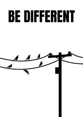 Be Different Birds on Wire