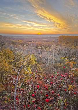 Autumn Sunset Over Forest and Fields