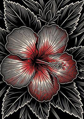 Red Hibiscus Flower Illustration