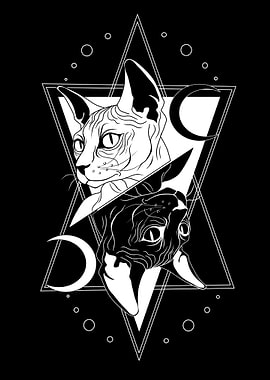 Sphynx Cats and Celestial Symbols