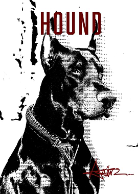 Hound - Soft Ruins