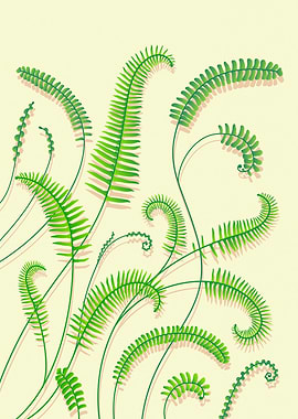 Fern Fronds