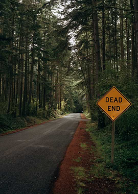Dead End Road in Forest