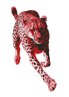 Running Cheetah in Red and Black