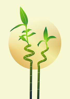 Lucky Bamboo on Abstract Background