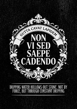 Latin Quote Gutta Cavat Lapidem