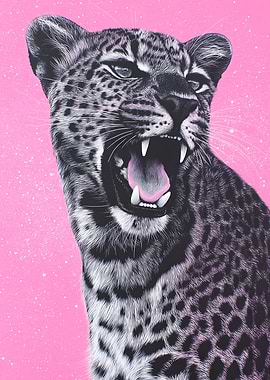 Leopard Roaring on Pink Background