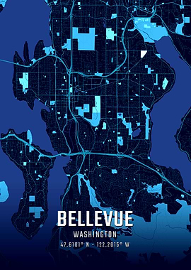 Bellevue Washington Midnight City Map