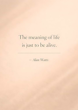 The meaning of life quote