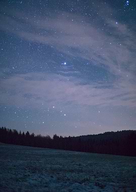 Polaris in the Night sky Over Forest and Field