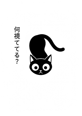 Black Cat with Japanese Text