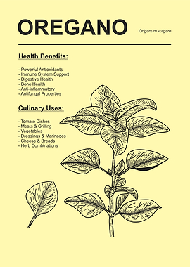 Oregano