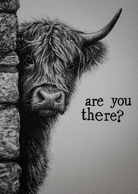 Highland Cow Peeking Around Corner