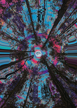 Psychedelic Forest Canopy