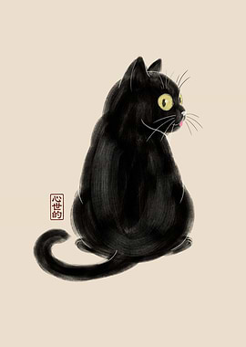 Chubby black cat