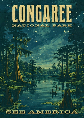 Congaree National Park Vintage Poster
