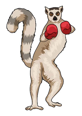 Lemur Boxer Boxing gloves