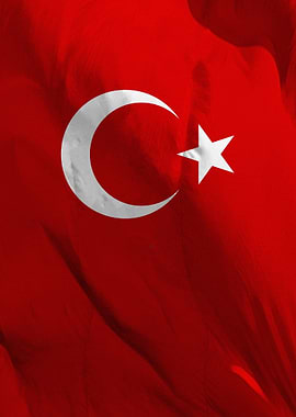 Turkish Flag Waving