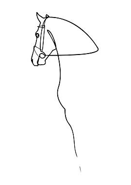 Minimalist Horse Head Line Art